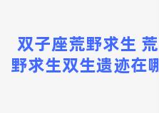 双子座荒野求生 荒野求生双生遗迹在哪